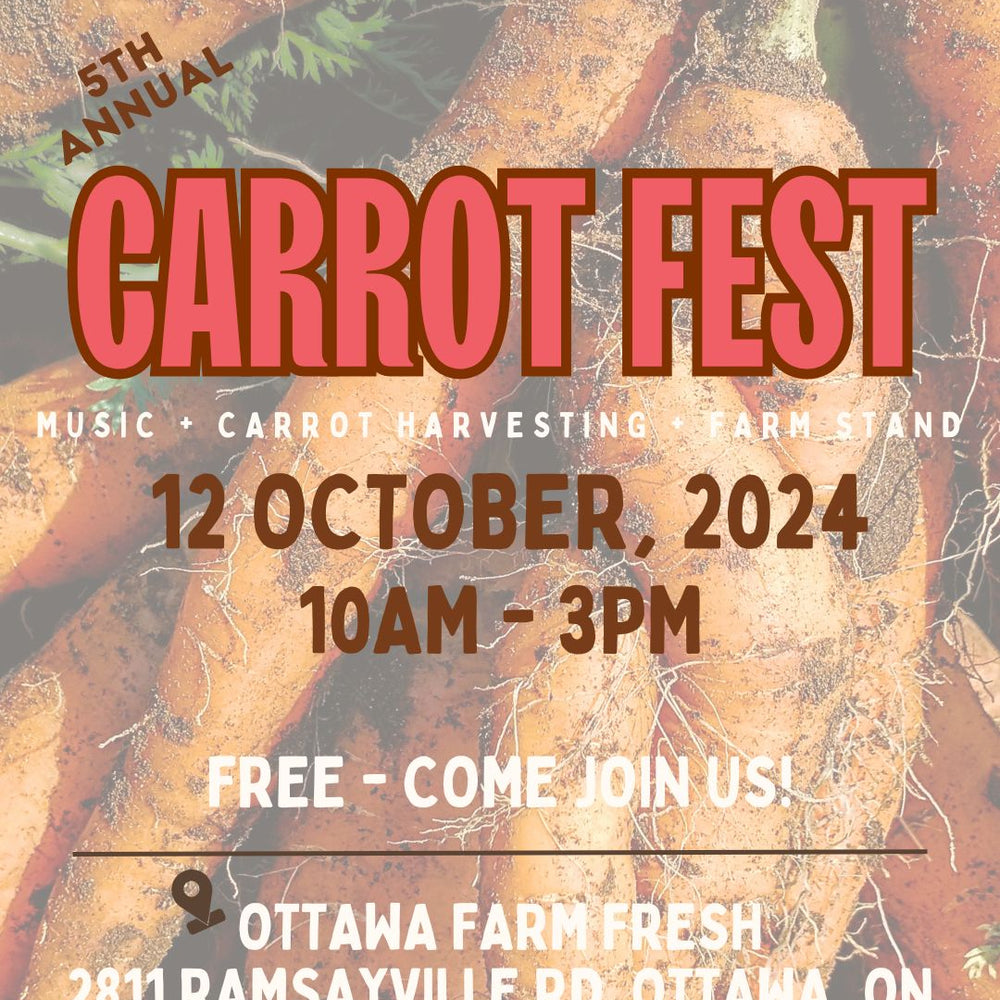 Carrot Fest 2024