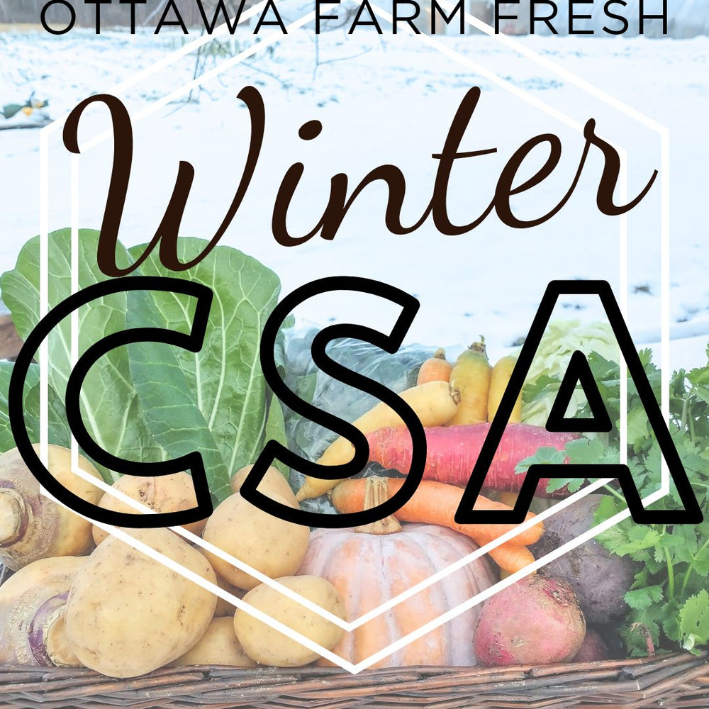 Wonderful Winter CSA